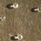 Four microtektites.